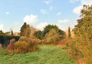 Garden- click for photo gallery